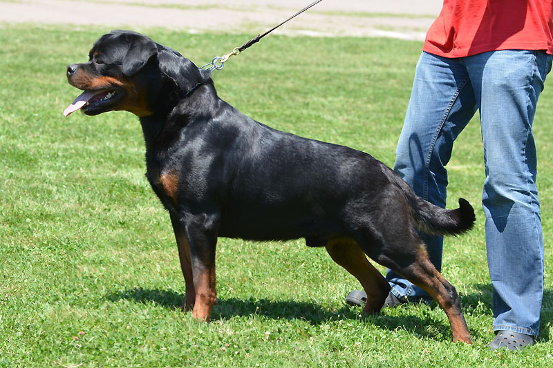 Yumbo von der Alten Festung Yumbo von der Alten Festung